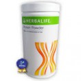 Protein Powder Isolada de Soja 480g